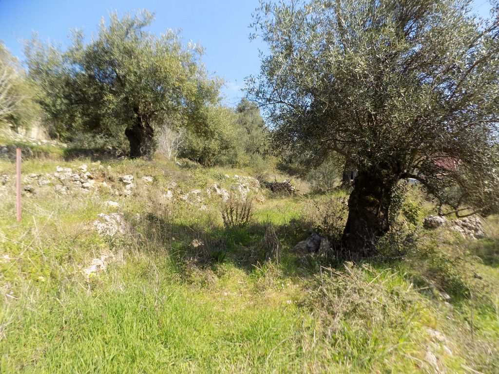PLOT OF LAND FOR SALE IN SPARTILAS