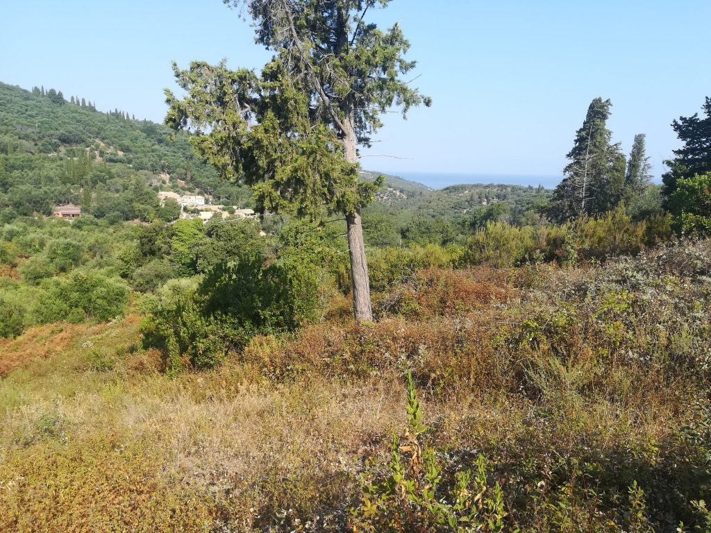 PLOT OF LAND FOR SALE IN SINIES