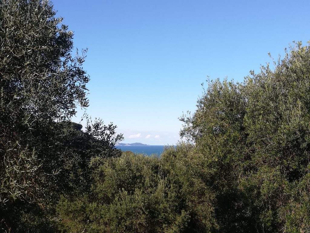 HOUSE FOR SALE IN KAROUSADES