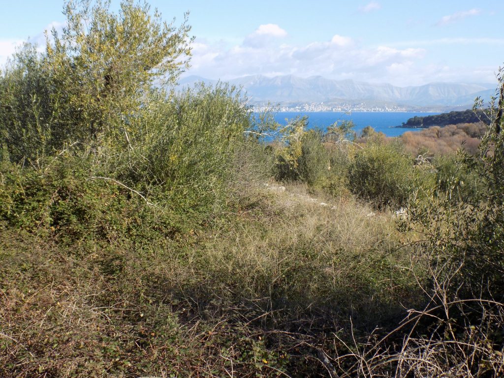 PLOT OF LAND FOR SALE IN KASSIOPI