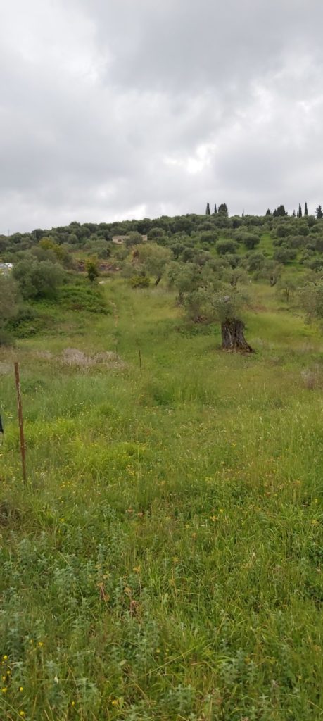 PLOT OF LAND FOR SALE IN ARILLAS